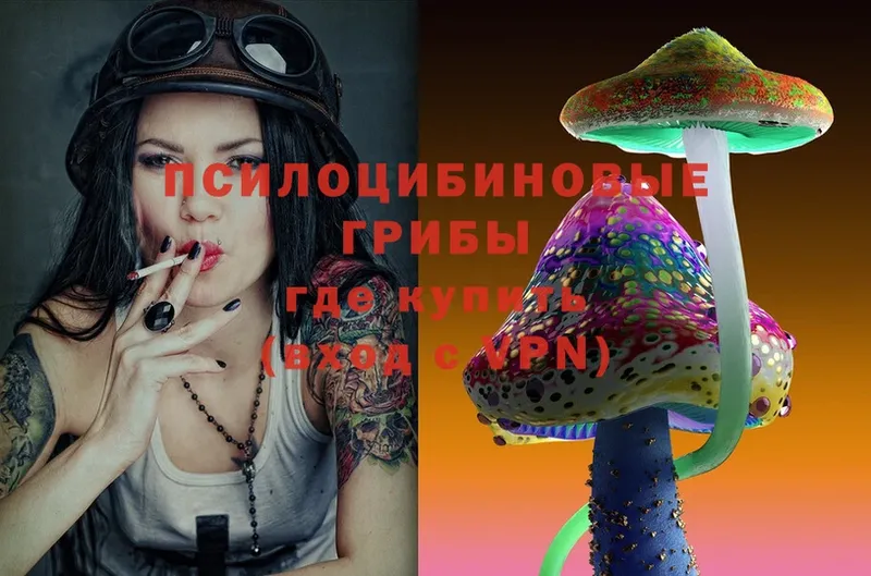 где купить наркоту  Петровск  дарк нет формула  Псилоцибиновые грибы MAGIC MUSHROOMS 